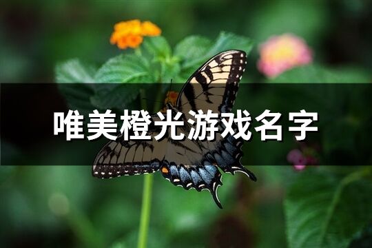 唯美橙光游戏名字(共482个)