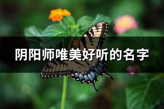 阴阳师唯美好听的名字(共216个)