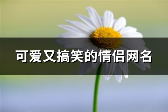 可爱又搞笑的情侣网名(共62个)