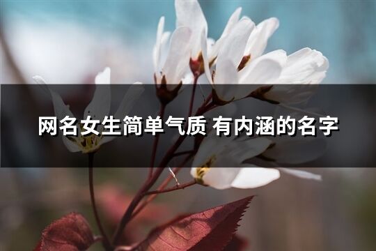 网名女生简单气质