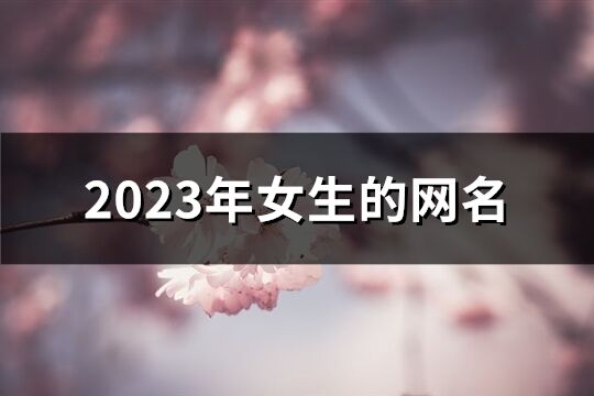 2023年女生的网名(975个)