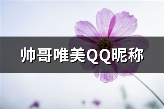 帅哥唯美QQ昵称(精选480个)