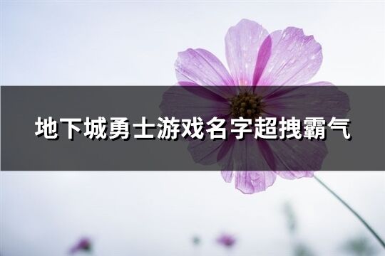 地下城勇士游戏名字超拽霸气(共178个)