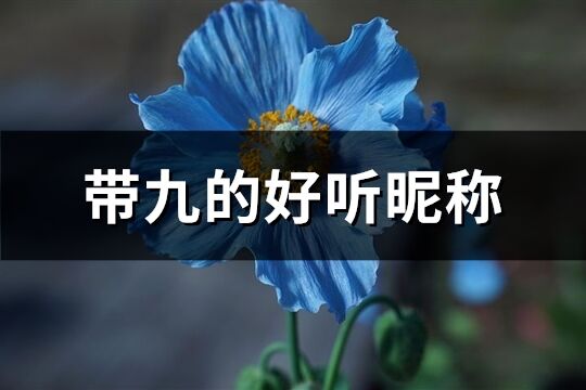 带九的好听昵称(共93个)