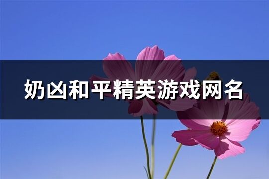 奶凶和平精英游戏网名(共167个)