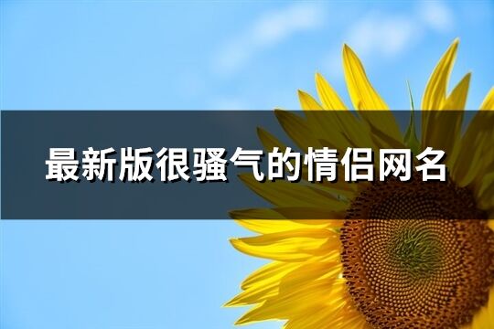 最新版很骚气的情侣网名(共318个)