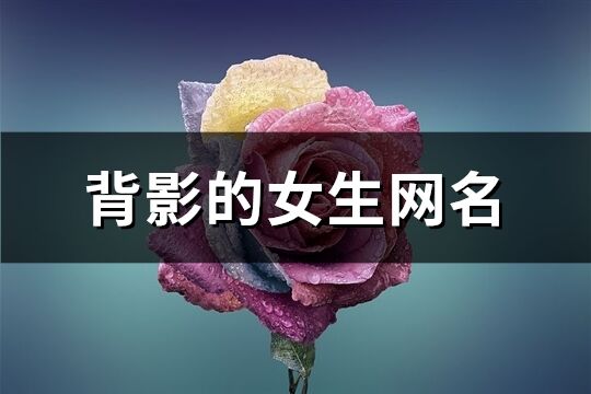 背影的女生网名(精选122个)