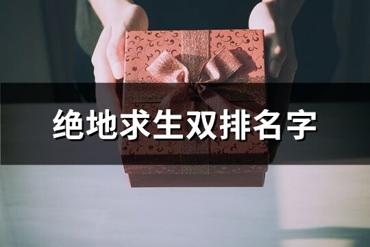 绝地求生双排名字(共289个)