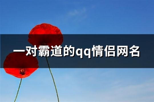 一对霸道的qq情侣网名(共105个)