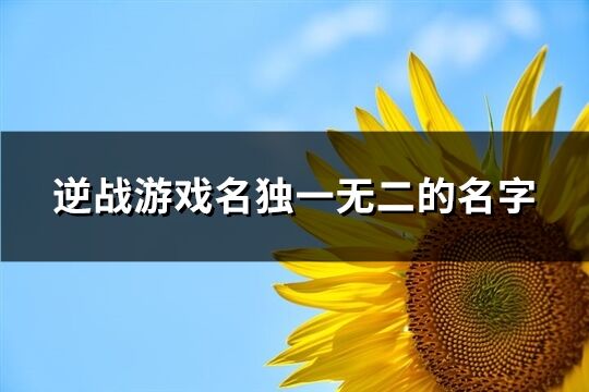 逆战游戏名独一无二的名字(共520个)