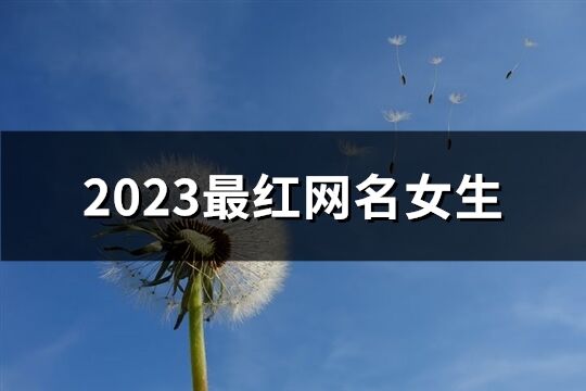 2023最红网名女生(1027个)