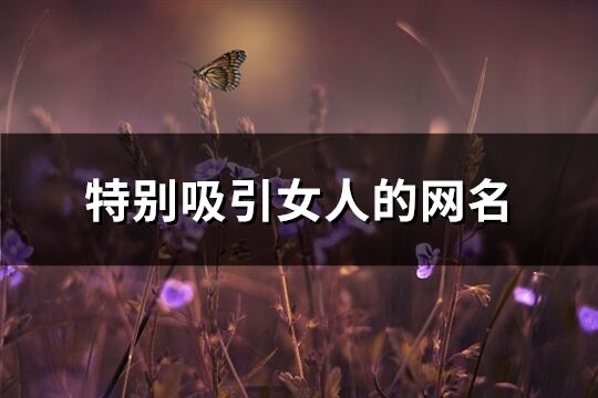 特别吸引女人的网名(共263个)