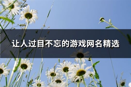 让人过目不忘的游戏网名精选(共547个)