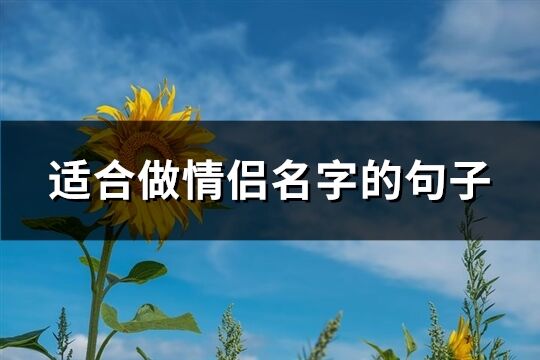 适合做情侣名字的句子(128个)