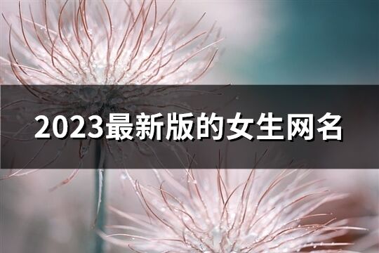 2023最新版的女生网名(共924个)