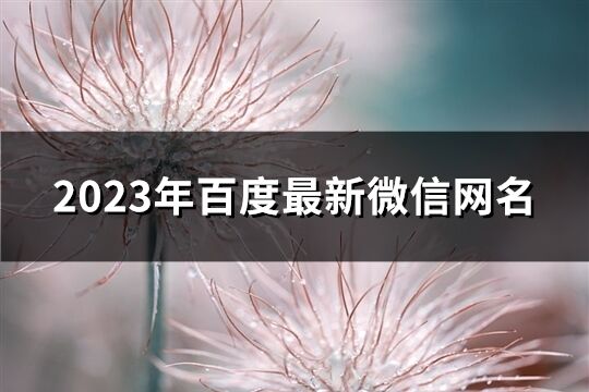 2023年百度最新微信网名(共1255个)