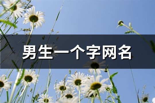 男生一个字网名(共207个)