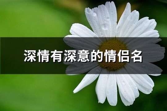 深情有深意的情侣名(精选97个)