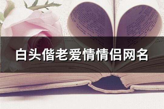 白头偕老爱情情侣网名(共204个)