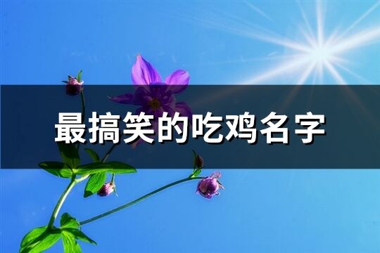 最搞笑的吃鸡名字(共281个)