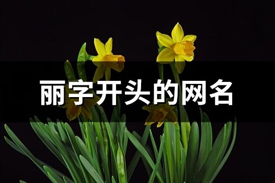 丽字开头的网名(精选97个)