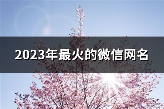 2023年最火的微信网名(精选632个)