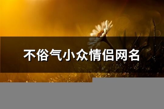 不俗气小众情侣网名(共98个)