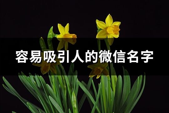 容易吸引人的微信名字(共781个)