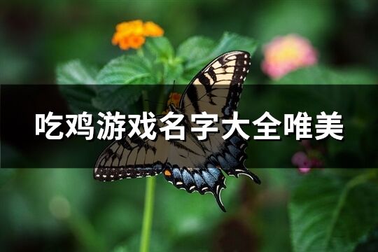 吃鸡游戏名字大全唯美(共414个)