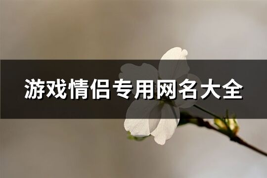 游戏情侣专用网名大全(共362个)