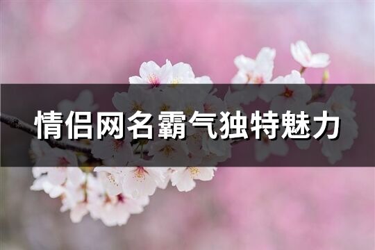 情侣网名霸气独特魅力(共271个)