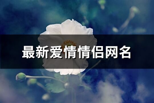 最新爱情情侣网名(精选946个)