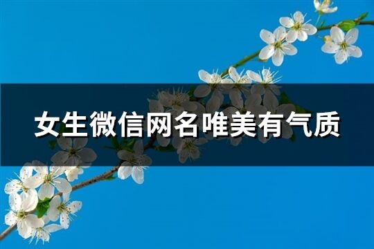 女生微信网名唯美有气质(共253个)