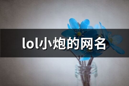 lol小炮的网名(共64个)