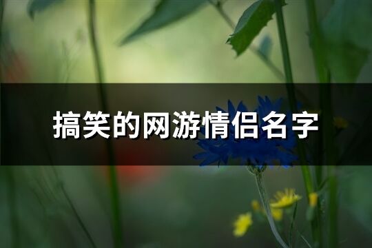 搞笑的网游情侣名字(共80个)