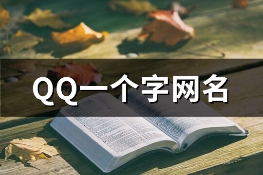 QQ一个字网名(精选284个)