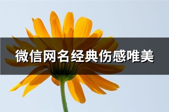 微信网名经典伤感唯美(精选372个)