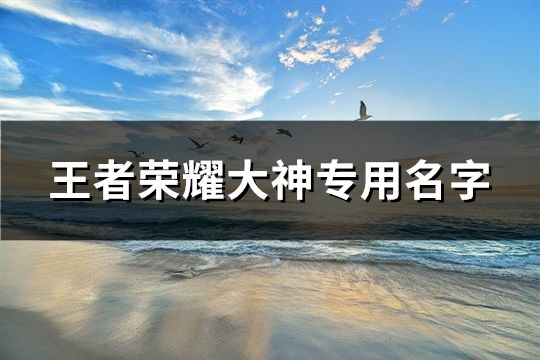 王者荣耀大神专用名字(共428个)