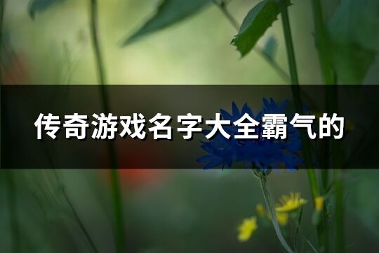 传奇游戏名字大全霸气的(171个)