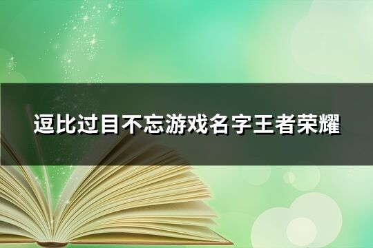 逗比过目不忘游戏名字王者荣耀(共176个)