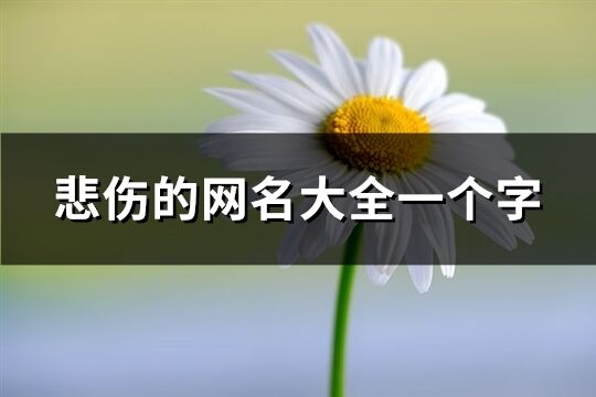 悲伤的网名大全一个字(共348个)