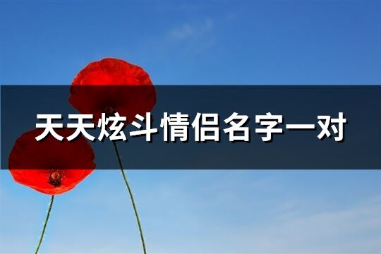 天天炫斗情侣名字一对(共124个)