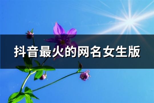 抖音最火的网名女生版(精选132个)