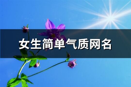 女生简单气质网名(共521个)