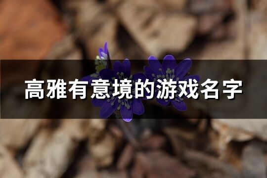 高雅有意境的游戏名字(共138个)