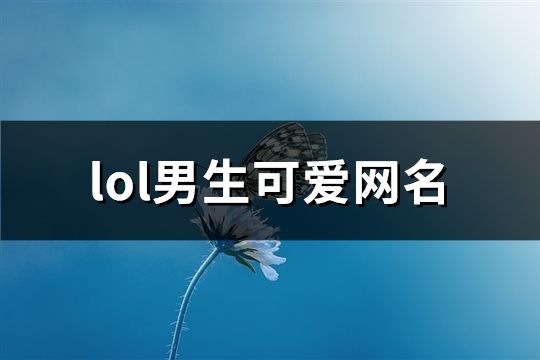 lol男生可爱网名(共197个)