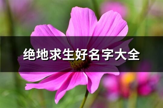 绝地求生好名字大全(890个)