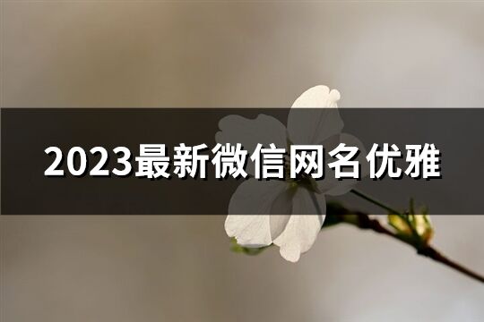 2023最新微信网名优雅(精选3808个)