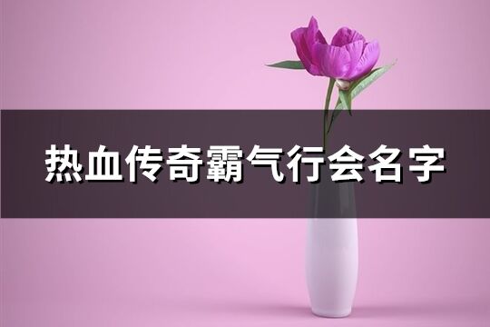 热血传奇霸气行会名字(精选737个)