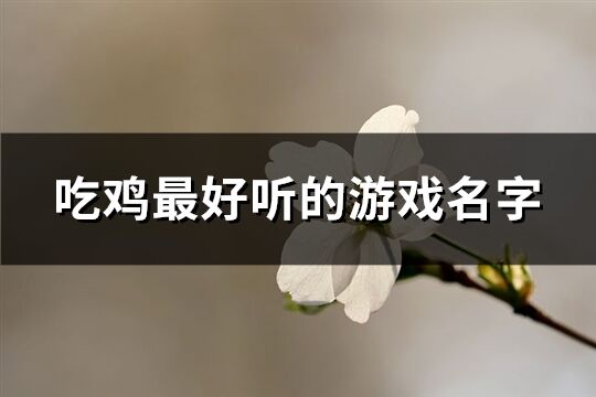 吃鸡最好听的游戏名字(精选292个)